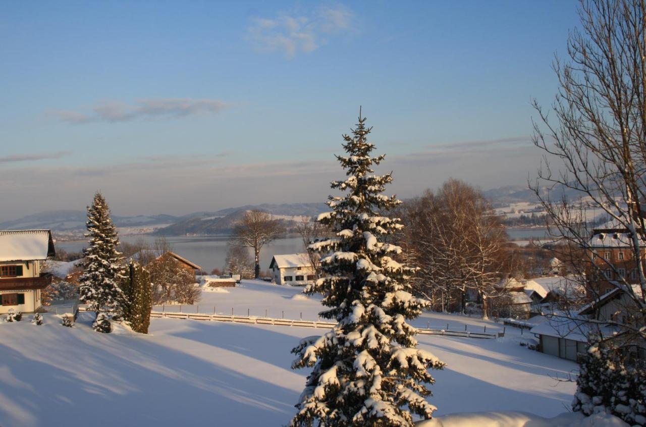 Gasthof Zur Seeburg Seekirchen am Wallersee Extérieur photo